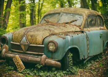 5 Tips for Keeping Your Car Clean and Organized